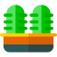 Cactus icon 64x64