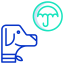 Pet insurance Symbol 64x64