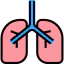 Lungs icon 64x64