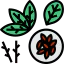 Seed ícone 64x64