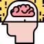 Brain ícone 64x64