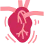 Heart ícone 64x64