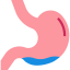 Stomach ícone 64x64