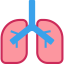 Lungs ícone 64x64
