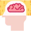 Brain ícone 64x64