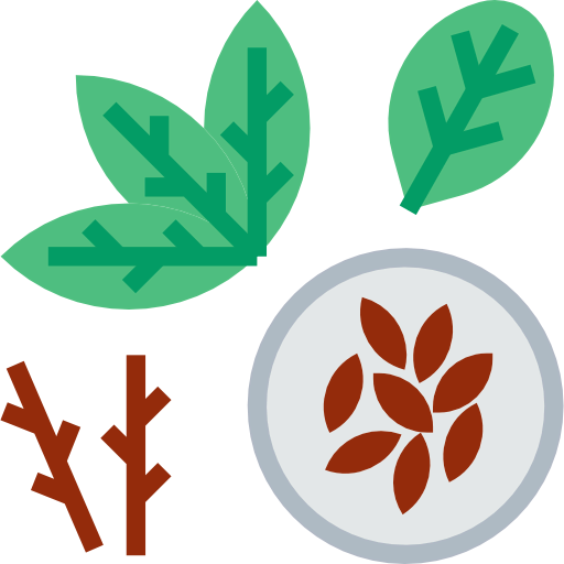 Seed 图标