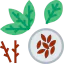 Seed ícone 64x64