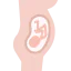 Pregnancy ícone 64x64