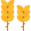 Wheat icon 64x64