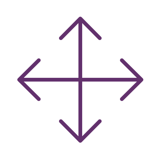 Move icon