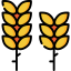 Wheat icon 64x64