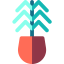 Plant 图标 64x64