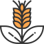 Wheat icon 64x64