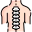 Spinal column アイコン 64x64