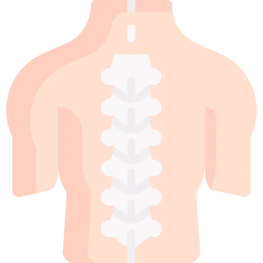 Spinal column 图标