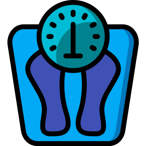 Scale icon