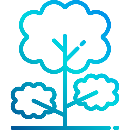 Tree 상