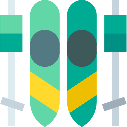 Ski icon