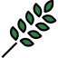 Leaf icône 64x64