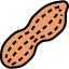 Peanut icône 64x64