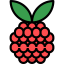 Raspberry ícono 64x64