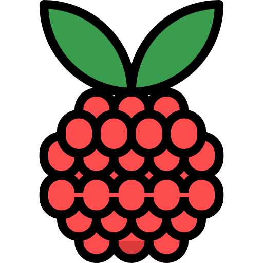 Raspberry ícono