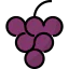 Grape icône 64x64