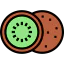 Kiwi icône 64x64