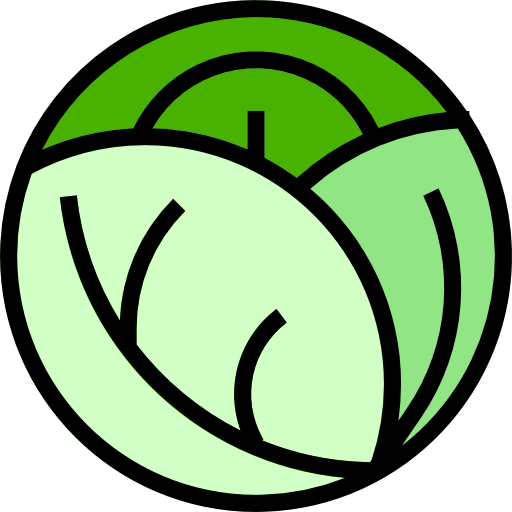 Cabbage icon