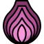 Onion icône 64x64