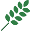 Leaf icône 64x64