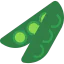 Bean icône 64x64