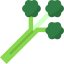 Celery icon 64x64