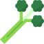 Celery icône 64x64