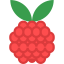 Raspberry ícono 64x64