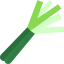 Leek icône 64x64