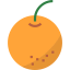 Orange icône 64x64