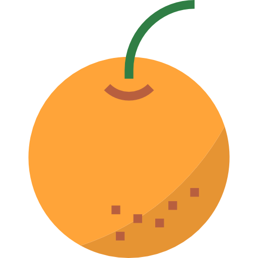 Orange icon