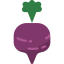 Turnip icône 64x64