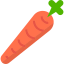 Carrot icône 64x64