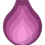 Onion icône 64x64