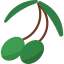 Olive icône 64x64