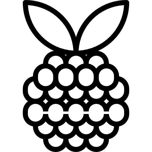Raspberry icône
