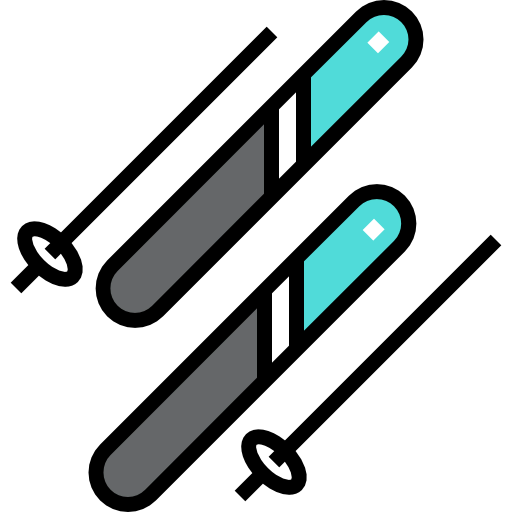 Ski icon