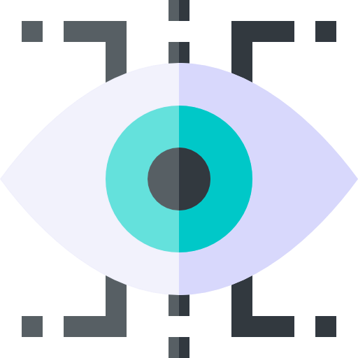 Vision icon