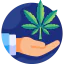 Cannabis 图标 64x64