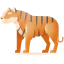 Tiger icon 64x64