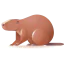 Beaver icon 64x64