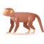 Monkey icon 64x64