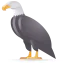 Eagle icon 64x64